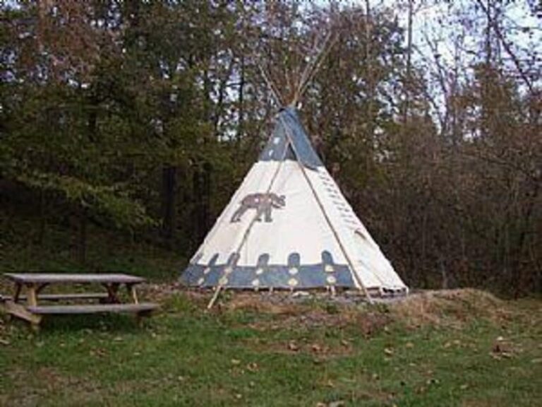 44189 1b066cab 5056 a36a 0758275961e957f6 768x576