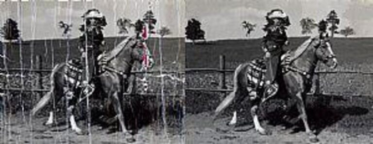 44790 1c930a61 5056 a36a 0797ed012d354077 768x297