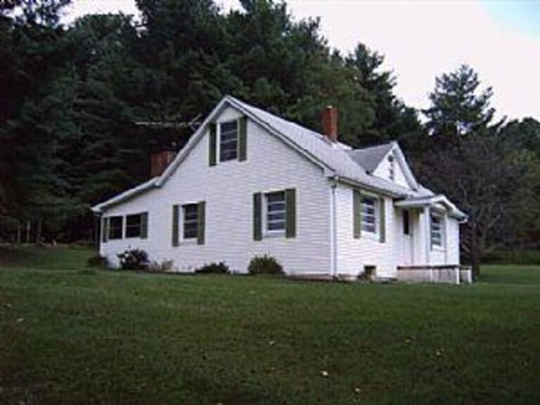 45883 1c879f7e 5056 a36a 07d8b626c6a3733f 768x576