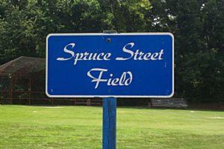 46384 1c841f1f 5056 a36a 074f033c8b9adb8b 768x510