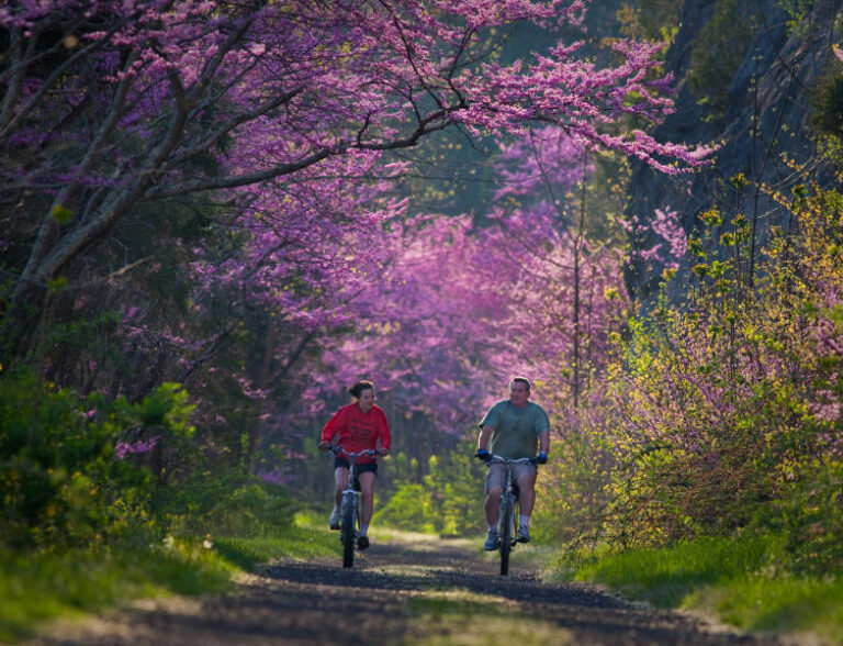 4993418007 eb9d027202 o 1bb4b434 5056 a36a 0769cb92d250e8c0 768x588