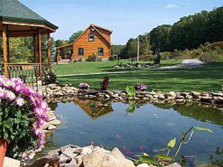 51062 1d12f3db 5056 a36a 07846dabb1fc8052 768x576