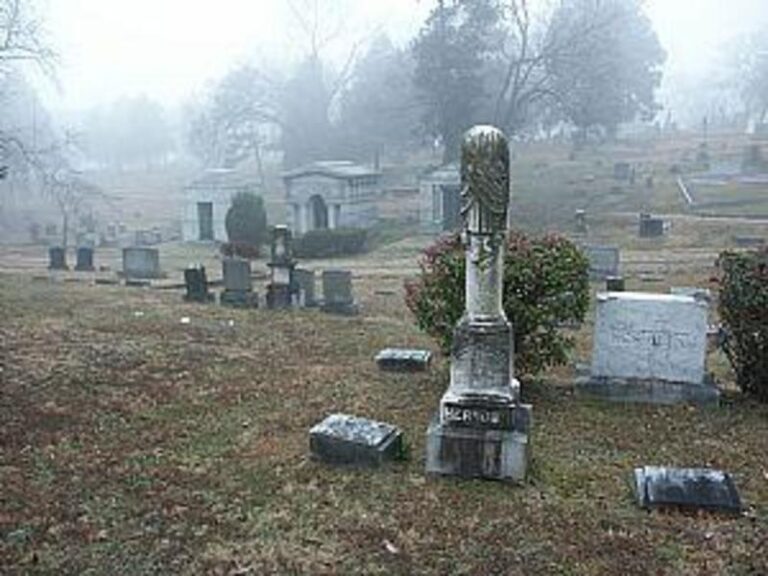 51841 1d0e8158 5056 a36a 073bd788ee3dfbe9 768x576