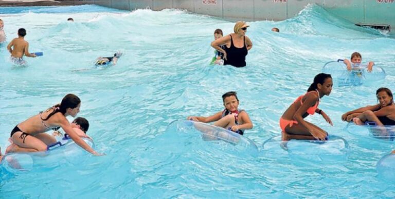 51c4c21bb6332image 1db5db64 5056 a36a 0700a58639a86237 768x388