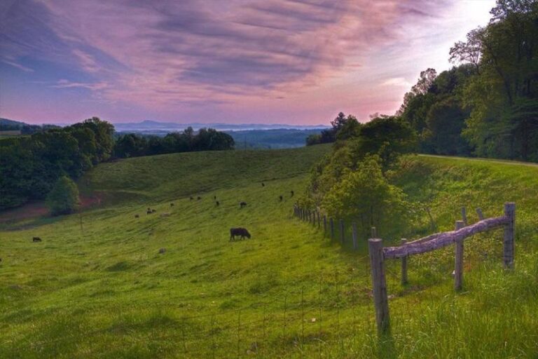 523604 10151054158196093 159875140 n 1b20d36d 5056 a36a 07e803895fcf4d37 768x512