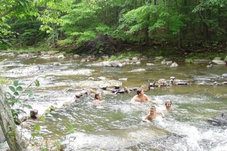 540x360 1dc1163b 5056 a36a 077400d4d7e1e131 768x512