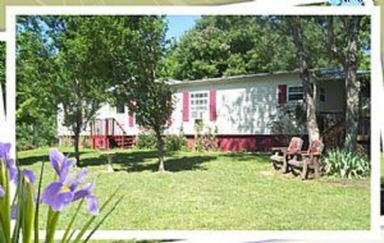 54118 1db93834 5056 a36a 07b79d720a39e400 768x487