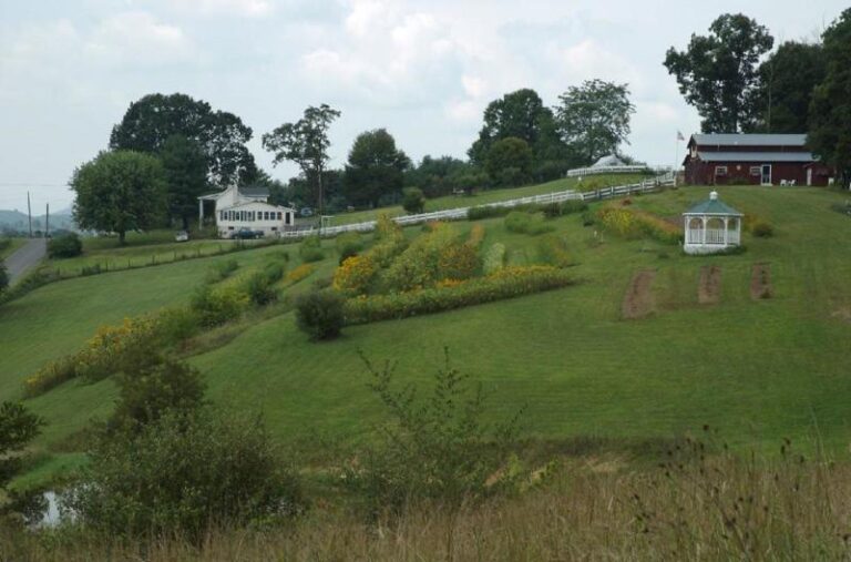 554598 359595044096948 460589525 n 1af3e186 5056 a36a 071739fc0df09ecd 768x507