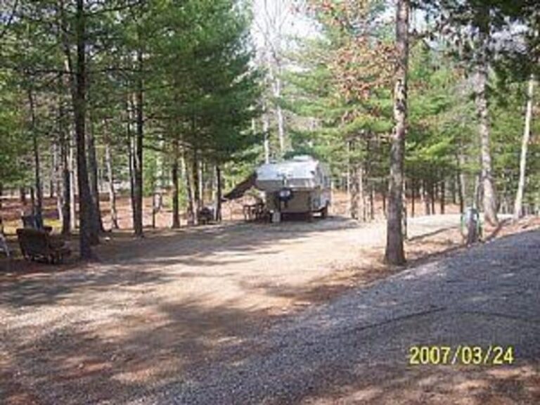 58993 1eae68f5 5056 a36a 076a96558416e343 768x576