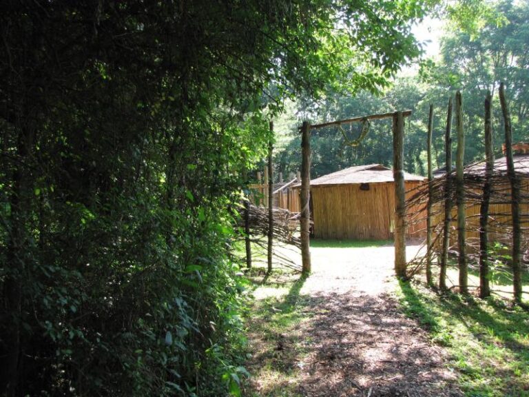 6 19 12 Village Picture 042 a073a6c3 5056 a36a 07b7180a5b0c82fe 768x576