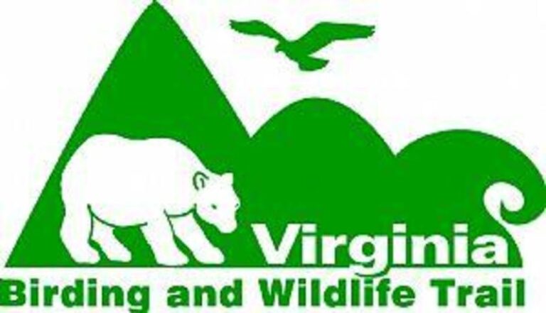 67408 2001a84d 5056 a36a 070b7b44acee6f8a 768x441