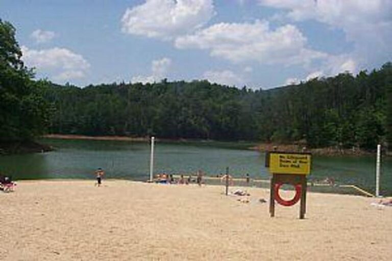 68427 1ffdd115 5056 a36a 0736c6066f19390b 768x512