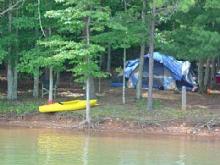 68803 1ffaa80d 5056 a36a 073f9d0ee53afffe 768x576