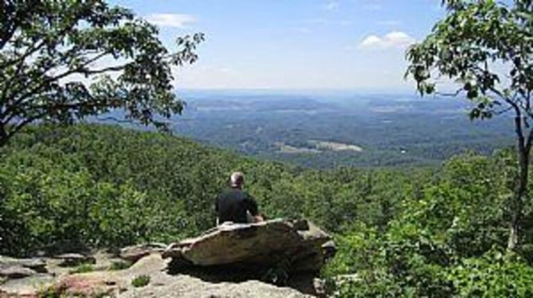 69480 1ff786d5 5056 a36a 07a5fa75c9b75b56 768x430