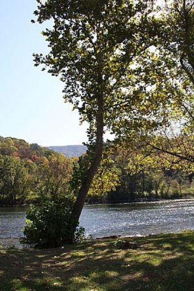 70962 1feeb38e 5056 a36a 0761267af6cbd395