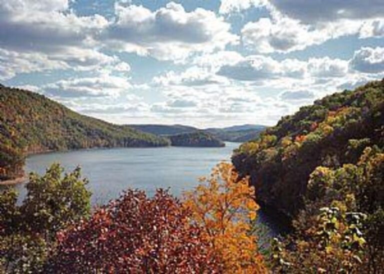 71942 1fe9b57f 5056 a36a 07891bfcfee04426 768x548