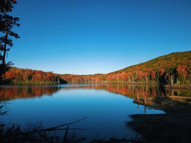 72656318 10157569784609547 9055702354774458368 n 13d5f832 5056 a36a 07b2d68659e18b14 768x576