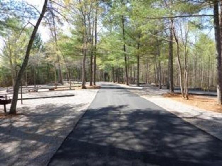 7 1 255d4d0b 5056 a36a 073e21ed0580aa24 768x575