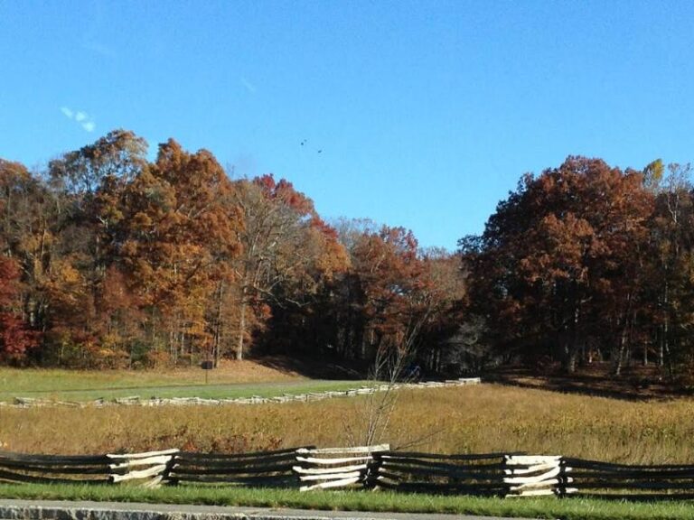 81184652 1e7b56b8 5056 a36a 07e57d485be0a4e9 768x576