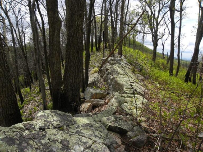 90661894 1dc09245 5056 a36a 07480f831073c79d 768x576