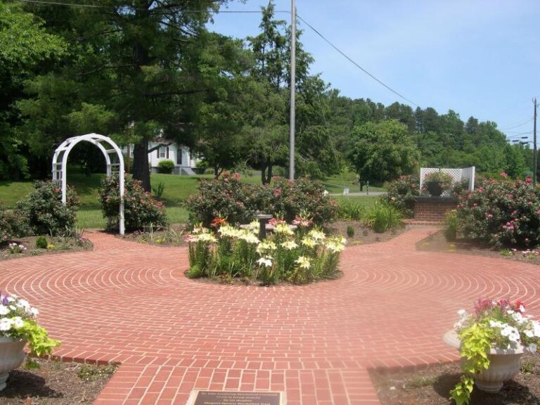 Acourtyard9 1ca82546 5056 a36a 079dd4b68d25906f 768x576