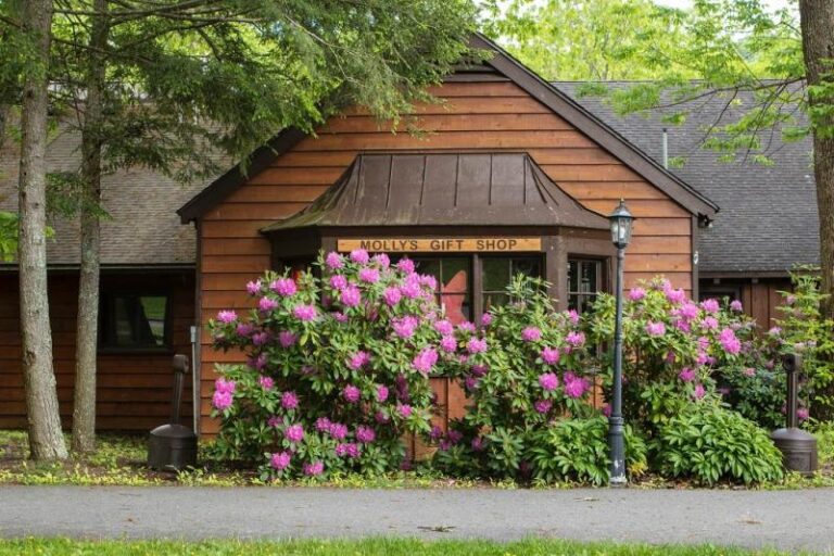 BR19080903V 150 1c8067a4 5056 a36a 07f4fd5c7beca99f 768x512