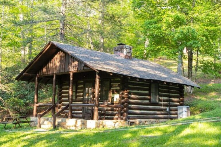 BR19080903V 157 2352823c 5056 a36a 076a4d4bc810853a 768x512