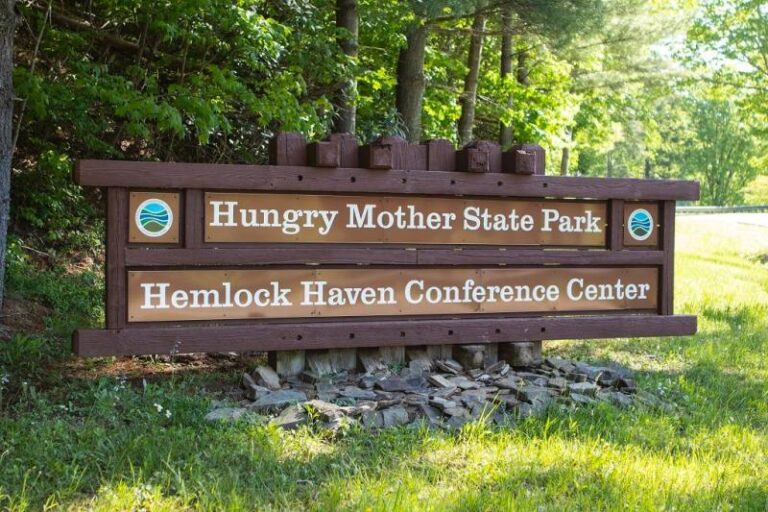 BR19080903V 185 1b55a936 5056 a36a 07a83c98131c0b47 768x512