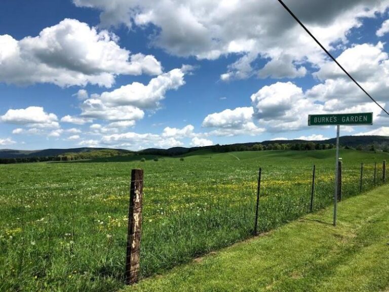 Burkes Garden 01 1bbe9259 5056 a36a 07a1c76f68b0a485 768x576