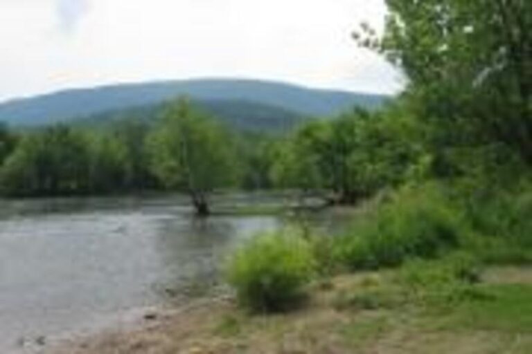 Camp Success 1 25532783 5056 a36a 0797053ddb2f630c 768x512