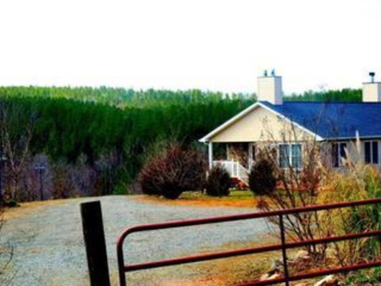 Chatham Front2 27521c30 5056 a36a 077f2e5857bcf4e2 768x576