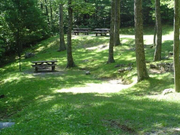 ComersRockCampground 1bdb0ec1 5056 a36a 071ee2c9c601a16a 768x576