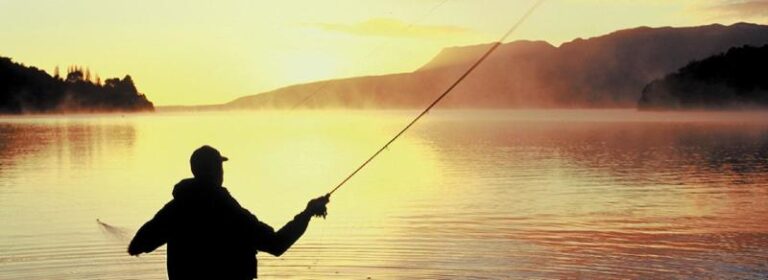 D173 hero 1 NZ 960x350 1b0438ce 5056 a36a 076e5cad713fbf1e 768x280