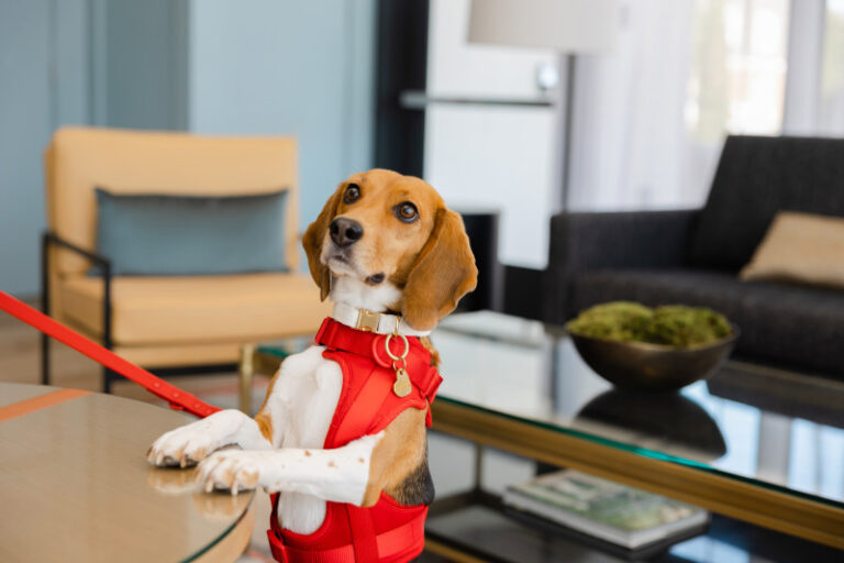 D74A4179 B019E8C8 E259 4A10 9738F4F4837704C5 5b5cabc8 1058 4d67 8bc9d61e92e840c1 768x512