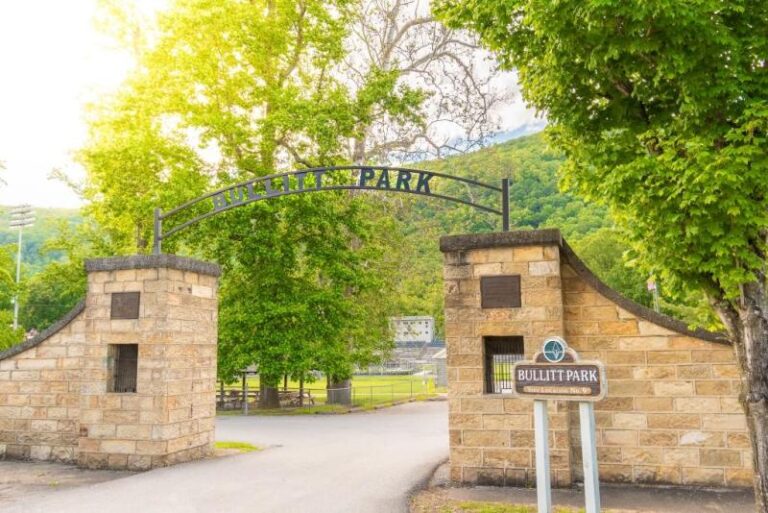 DSC 0112 2 9f16331f 5056 a36a 0761f1120a31dab7 768x513