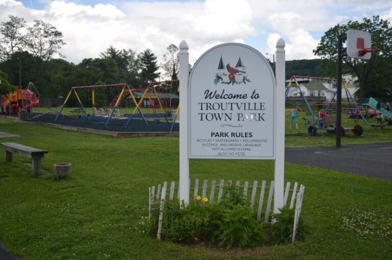 DSC 04401 1dc54189 5056 a36a 07742820e4ccb9fb 768x509