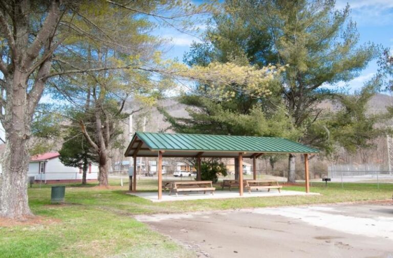 DSC 0608small 13d55a3c 5056 a36a 076a5a9b2017ba98 768x505