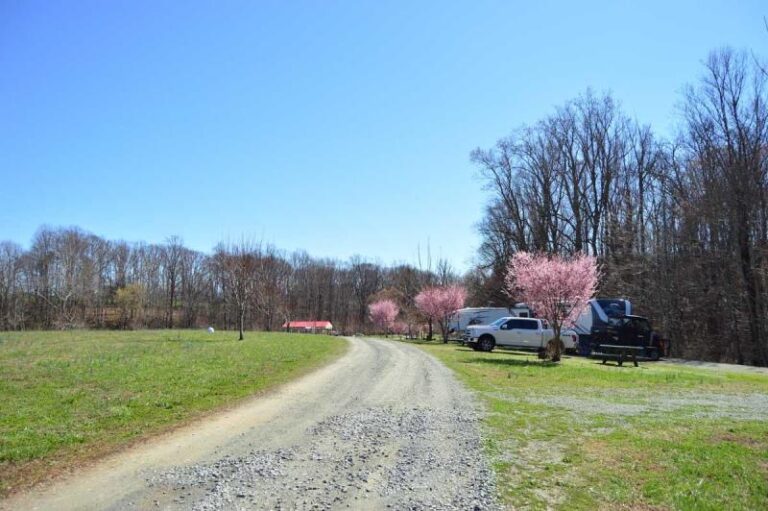 DSC 0933 cbc1cd7b 5056 a36a 07ab88856addaf0a 768x511