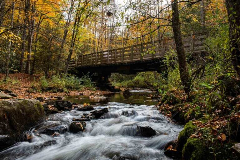 DSC 3511 2x 32F85A0D 9848 4D1E 83FDD1E29C888BDE 80636169 e7bd 4438 b2248889ea8d9ca9 768x513