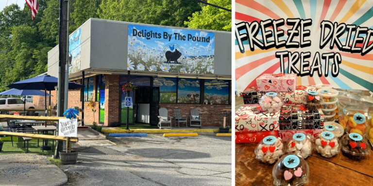 DelightsByThePound 1600x800 AE97E118 BCDE 4408 9C77C56437CBDFFE 873ed188 5f76 4d5c b51b486f39cc7125 768x384