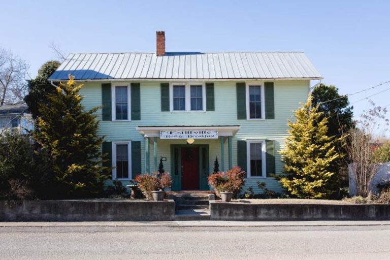 Estillville BB photo 1 2018 252f1d09 5056 a36a 07f8431b91e39677 768x512