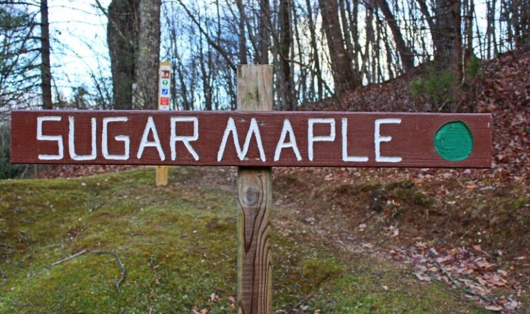 FRAT trail sign 252f34a5 5056 a36a 07e494e9bf2f079c 768x455