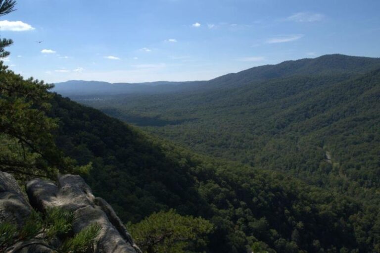 George Washington NF View from Buzzard Rock Aneta Kaluzna 1b973cd9 5056 a36a 070a941b4444bf5e 768x511