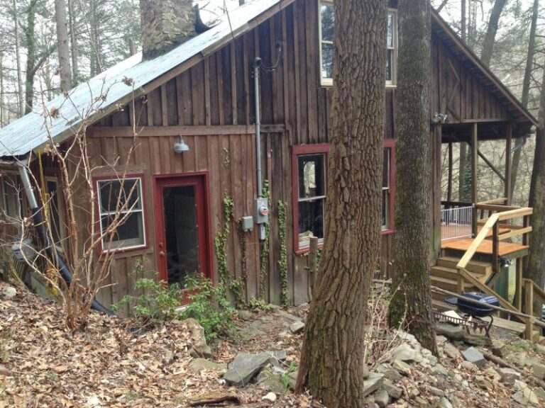 IMG 0136 277ce873 5056 a36a 07b192a086caeb3e 768x576