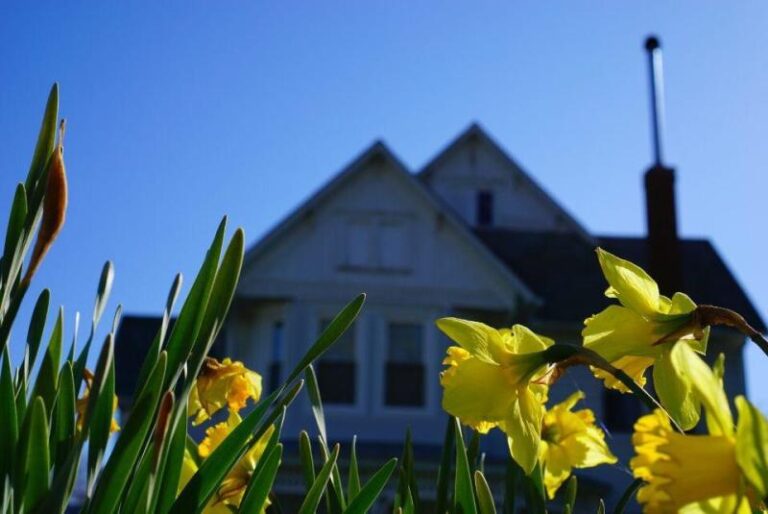 IMG 0631 1c994482 5056 a36a 0705d7baf720ebd9 768x514