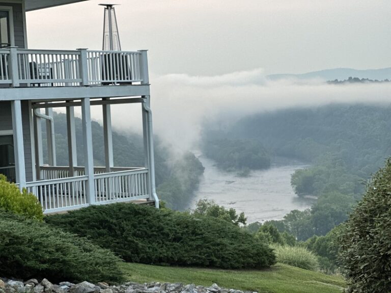 IMG 1030 8F354B97 186F 434E 84B767AE691EF4C7 285a3e6d b301 4b4f baf362205b9b0aa8 1 768x576