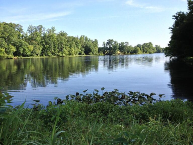 IMG 15991 279180a7 5056 a36a 07e5b4dc19f94c9e 768x576