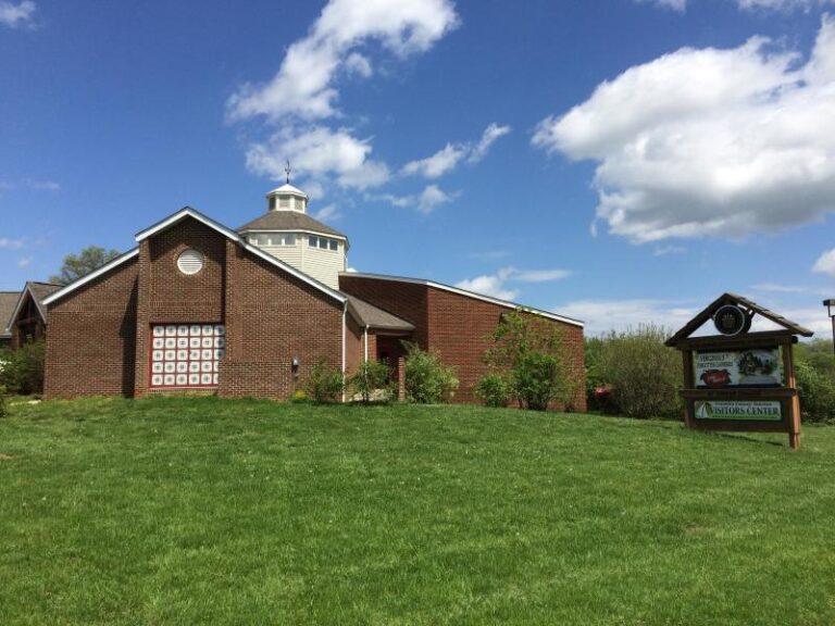 IMG 1899 1b872453 5056 a36a 070088d955ff61f8 768x576