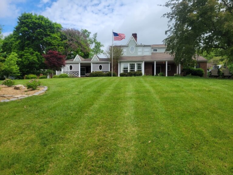 IMG 20240417 130010 1617A080 6625 408C A9C5EE237413FE79 f66fc14f acc0 4bdf a01e60a9a70b60d6 768x576