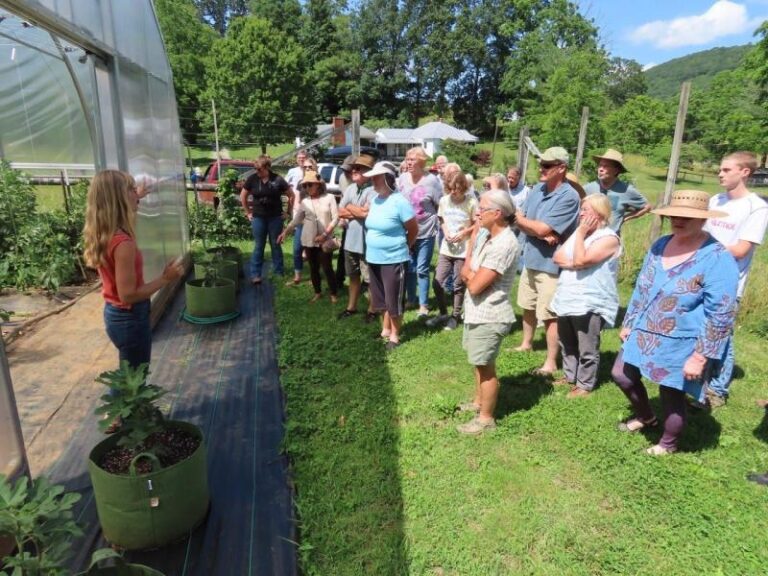 IMG 2329 cb6fa1e0 5056 a36a 07f68082ea6f2d10 768x576